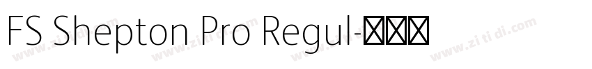 FS Shepton Pro Regul字体转换